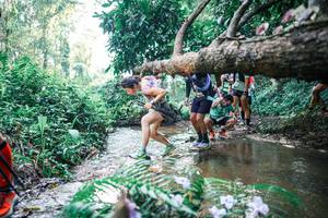 BIB: 
                            <button type="button" onclick="openModal(25452274)" class="btn btn-primary btn-sm float-right btn-popup" data-toggle="modal" data-target=".modal-high-quality">
                        <i class="fas fa-shopping-cart"></i> Add to Cart
                    </button>
                                            <button type="button" onclick="isThisMe(25452274, true)" class="btn btn-success btn-sm float-right btn-popup btn-isme hidden" data-toggle="tooltip" data-placement="bottom" title="นี่คือรูปของคุณใช่ไหม คลิกที่นี่เพื่อเอาเข้าอัลบั้ม">
                        <i class="fas fa-plus"></i> Add to album
                    </button>
                    <button type="button" onclick="isThisMe(25452274, false)" class="btn btn-warning btn-sm float-right btn-popup btn-isnotme hidden">
                        <i class="fas fa-ban"></i> Remove from album
                    </button>